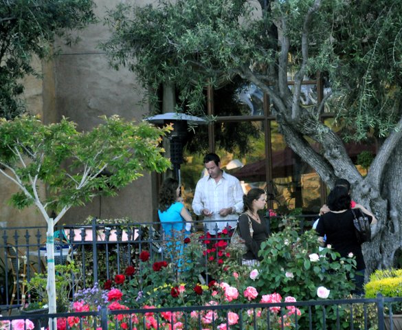 street people flowers